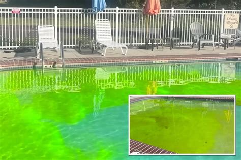 NJ business owner arrested, accused of using drone to drop green dye in nearby pools